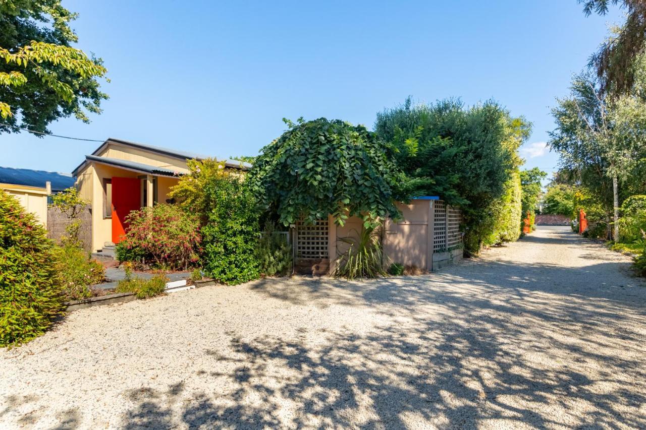 Shy Cottage And Studio Greytown Eksteriør bilde