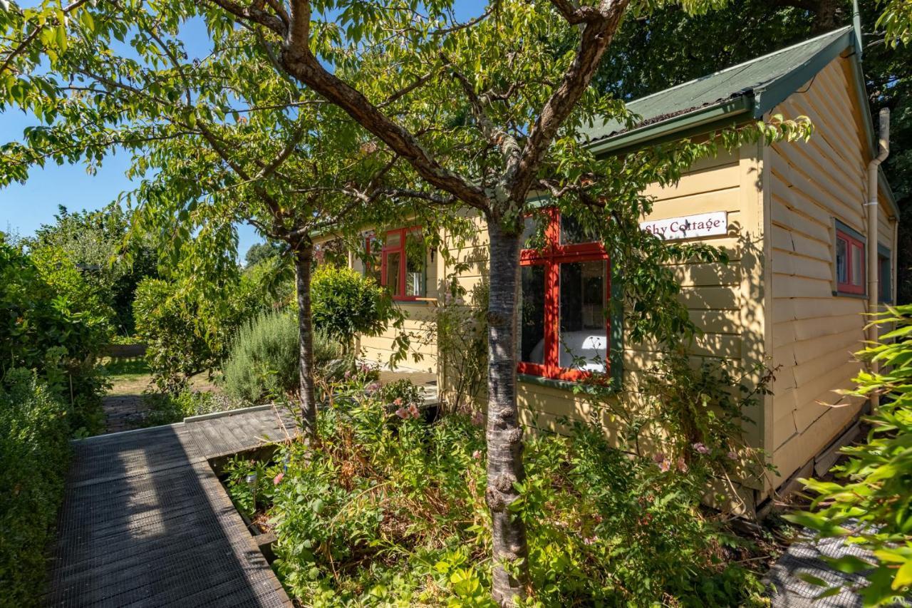 Shy Cottage And Studio Greytown Eksteriør bilde