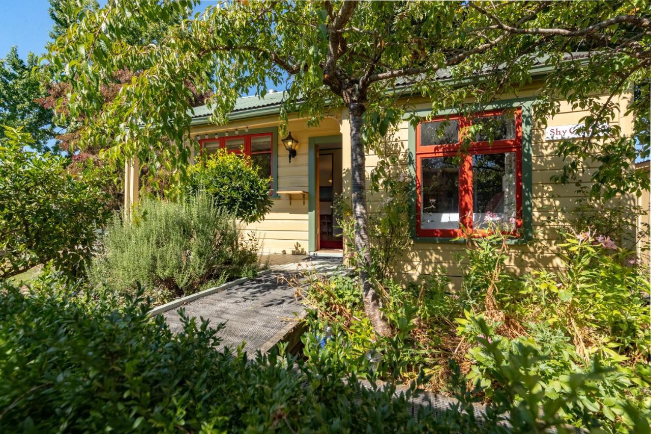 Shy Cottage And Studio Greytown Eksteriør bilde
