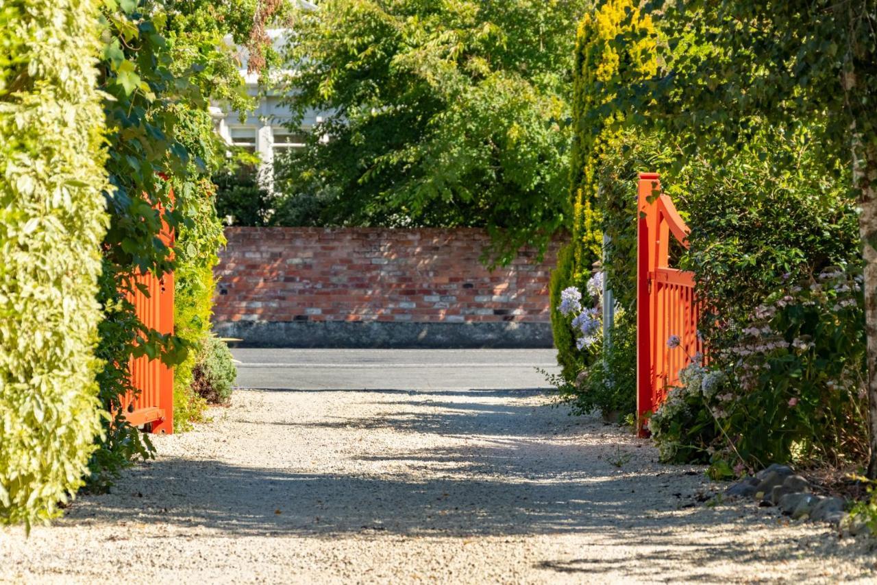 Shy Cottage And Studio Greytown Eksteriør bilde