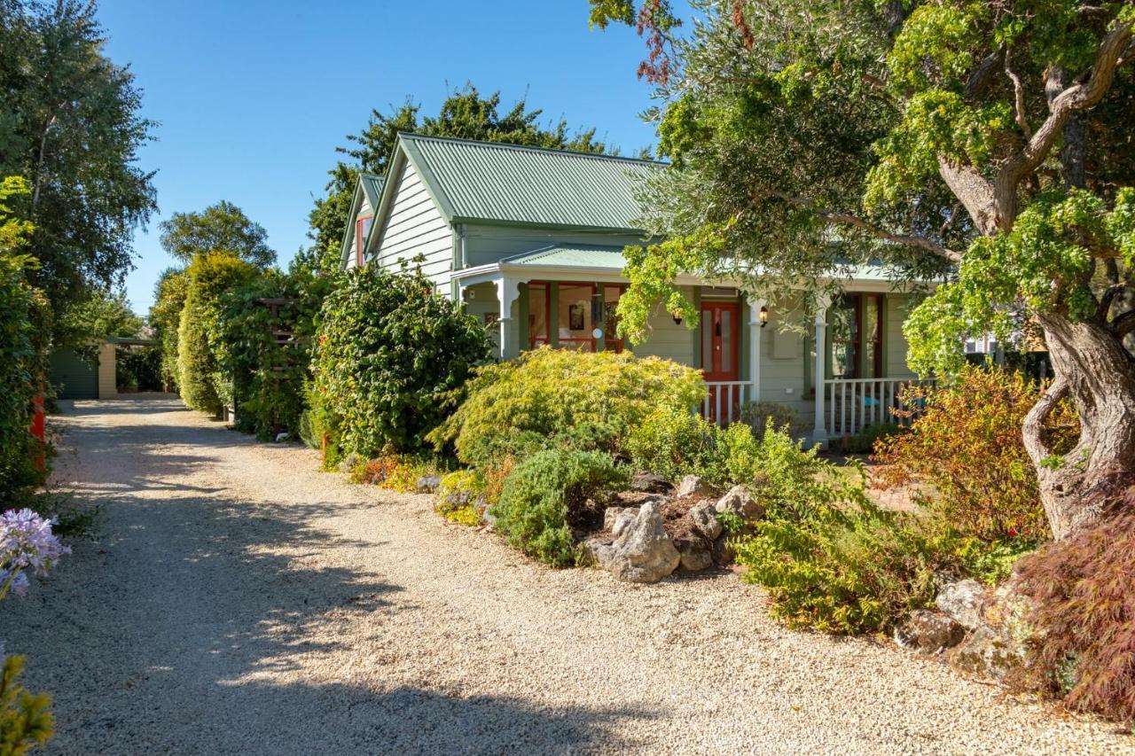 Shy Cottage And Studio Greytown Eksteriør bilde