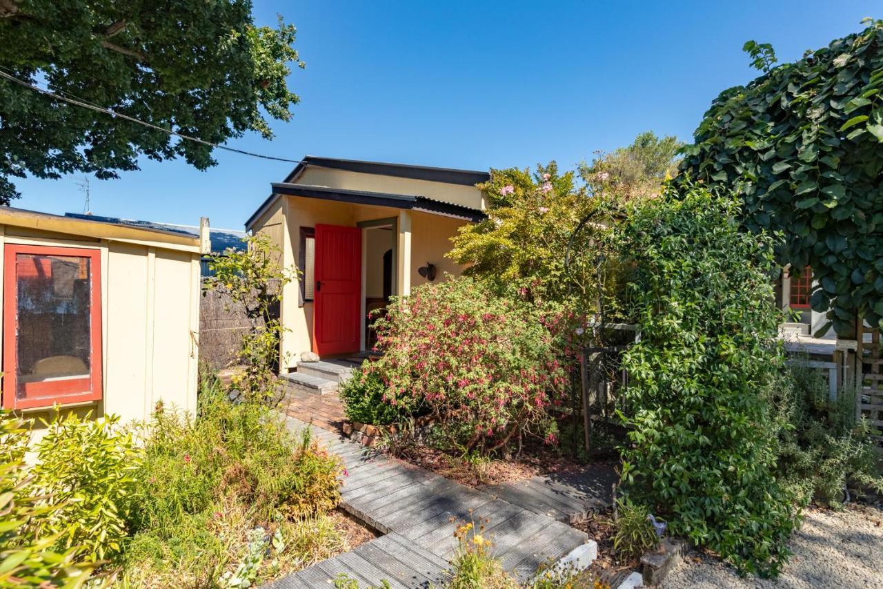 Shy Cottage And Studio Greytown Eksteriør bilde